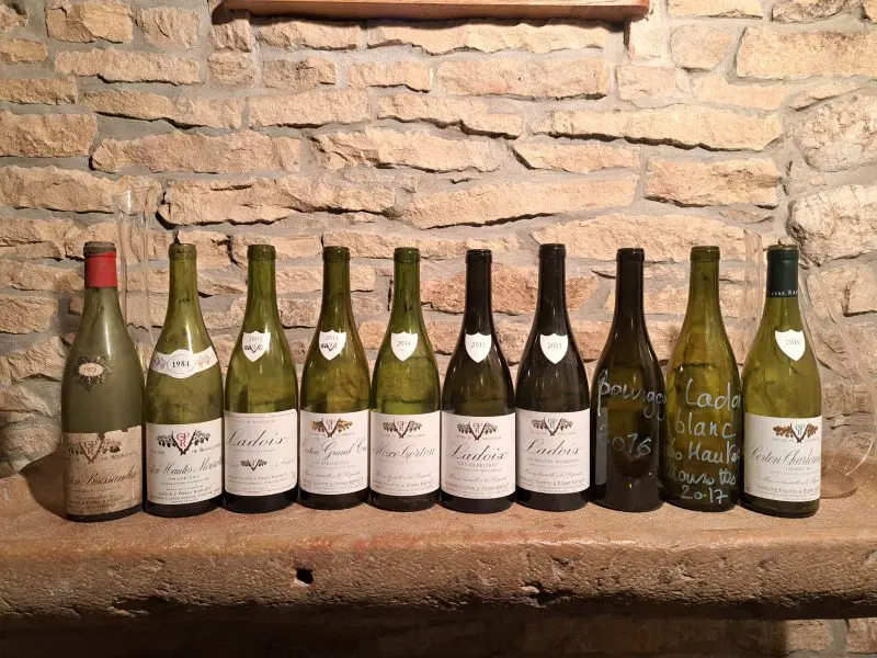 bouteilles de vin dégustés au domaine Gaston et Pierre RAVAUT