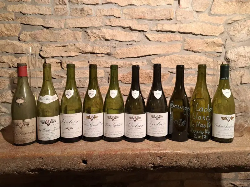 bouteilles de vin dégustées au domaine Gaston et Pierre RAVAUT