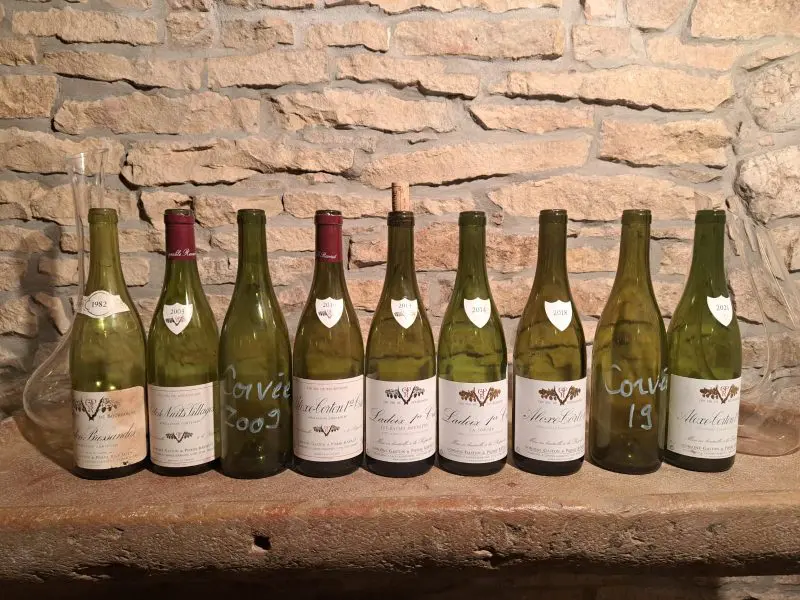 bouteilles de vin dégustées au domaine Gaston et Pierre RAVAUT