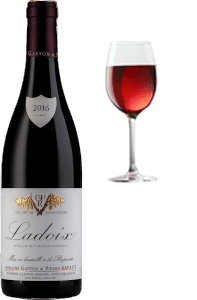 Bouteille de vin rouge du domaine Gaston et Pierre RAVAUT et un verre