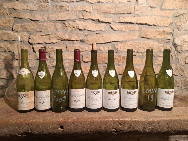 bouteilles de vin dégustées au domaine Gaston et Pierre RAVAUT